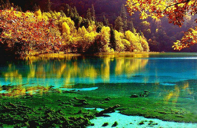 ýй20 - ɽң - .