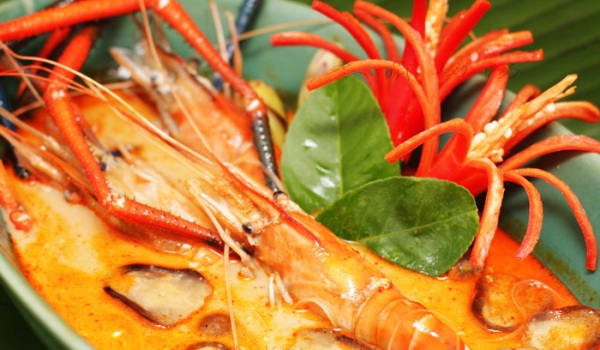 20. ί���������ױ�