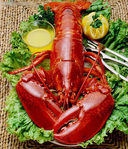 20. ί���������ױ�