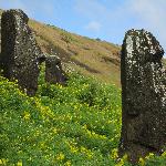 Moai Inside Quarry Crater