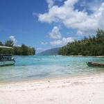 The beautiful lagoon we snorkeled in at Moorea Island. The coral and fish were spectacular.