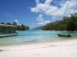 The beautiful lagoon we snorkeled in at Moorea Island. The coral and fish were spectacular.
