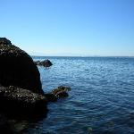 Whale watching at the state park