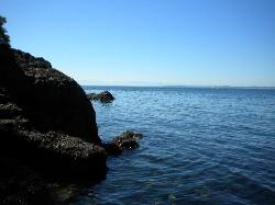 Whale watching at the state park