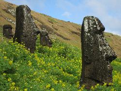 Moai Inside Quarry Crater