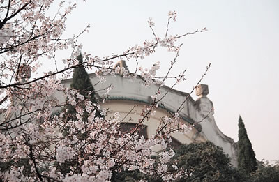 ӣ���������������