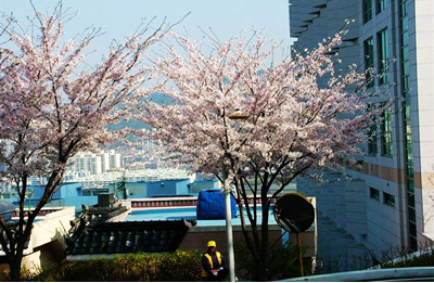 ����û����ɽ��Ұ��Ũ�ң�ֻ�е���������