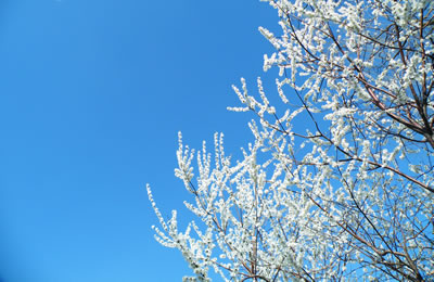 �����Ĵ��죬û��ɳ������ֻ��ӣ��