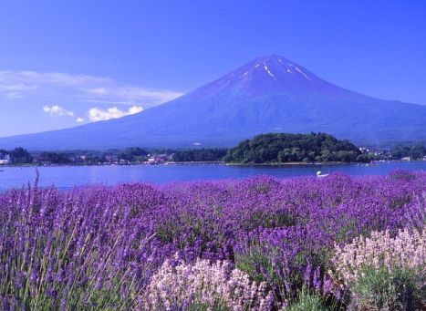 ȫ��������100���ȼ�����֮һ - ���¾���-���� - ���¾���-���ɵĲ���