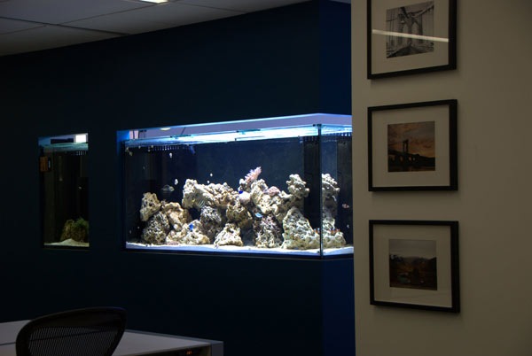 clip_image020 clip_image020